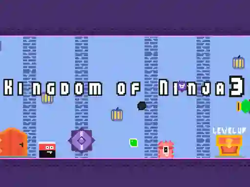 Mäng Kingdom of Ninja 3 Internetis