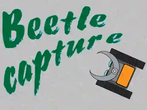 Mäng Beetle Capture Internetis