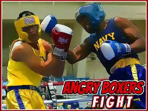 Mäng Angry Boxers Fight Internetis