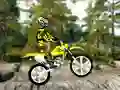 Mäng Trial Bike 2 Internetis