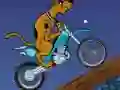 Mäng Scooby Doo Trail Internetis