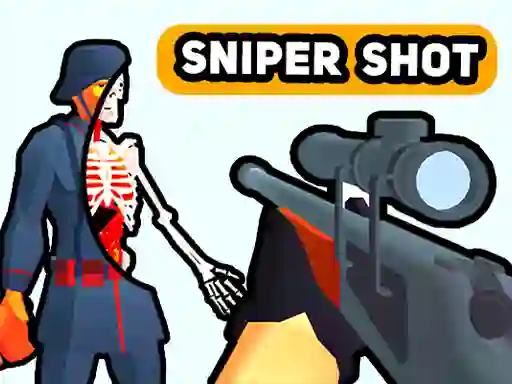 Mäng Sniper Shot: Bullet Time Internetis