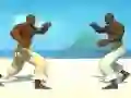 Mäng Capoeira fighter Internetis