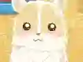 Mäng Hamster Love Internetis