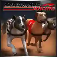 Mäng Greyhound Racing Internetis