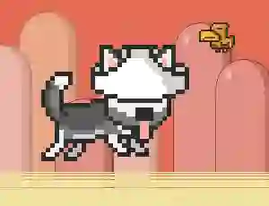 Mäng Mr Jump Husky Internetis
