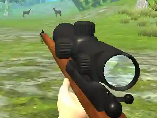 Mäng Hunter 3D Internetis