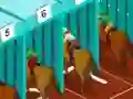 Mäng Derby racing Internetis