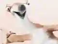 Mäng Ice Age 4: Coloring Internetis