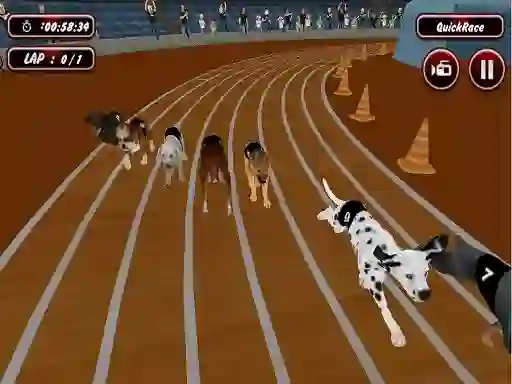 Mäng Crazyl Dog Racing Fever Internetis