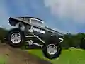 Mäng Crazy Mustang Internetis