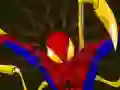 Mäng Spiderman Customization Internetis