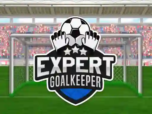Mäng Expert Goalkeeper Internetis