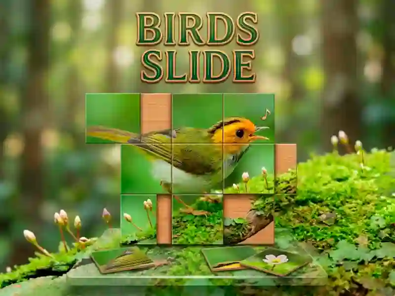 Mäng Birds Slide Internetis