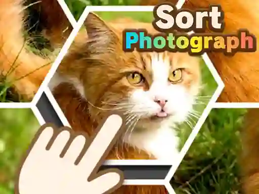 Mäng Sort Photograph Internetis