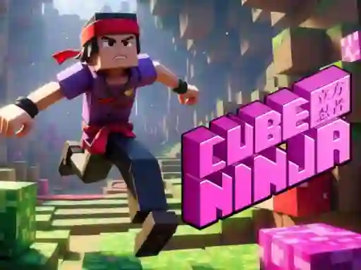 Mäng Cube Ninja Internetis