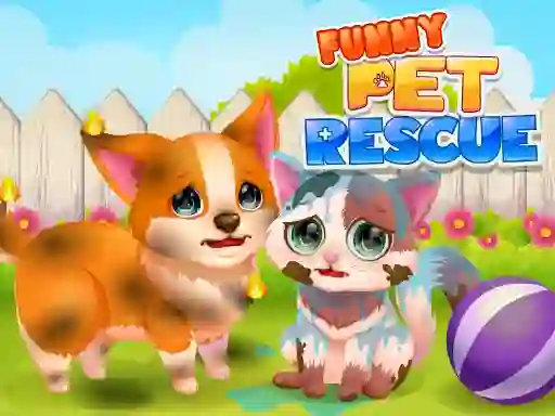 Mäng Funny Rescue Pet Internetis