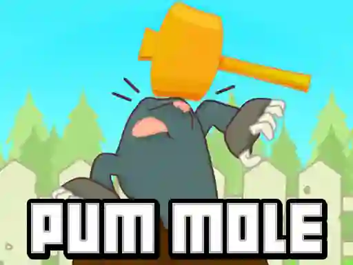 Mäng Pum-Mole Internetis