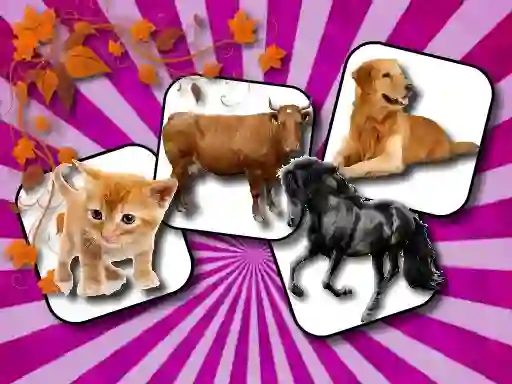 Mäng Domestic Animal Memory Challenge Internetis
