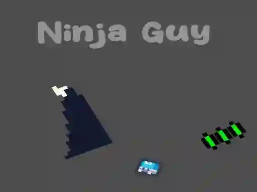 Mäng Ninja Guy Internetis