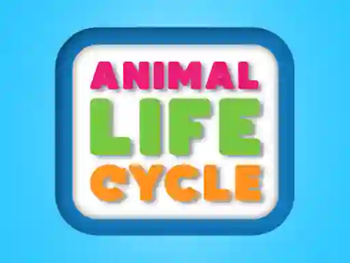 Mäng Animal Life Cycle Internetis
