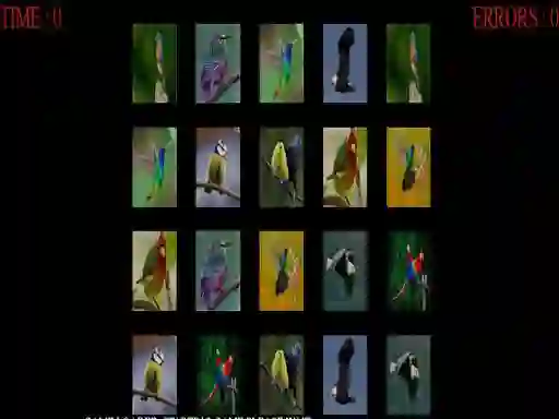 Mäng Memorize the birds Internetis