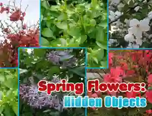 Mäng Spring Flowers: Hidden Objects Internetis