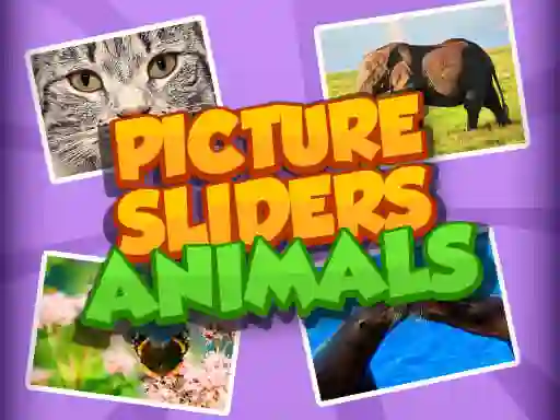 Mäng Picture Slider Animals Internetis