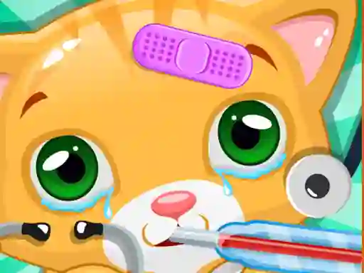 Mäng Little Cat Doctor Internetis