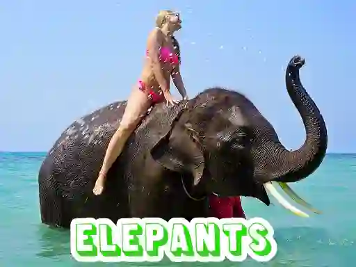 Mäng Elephants Puzzle Internetis