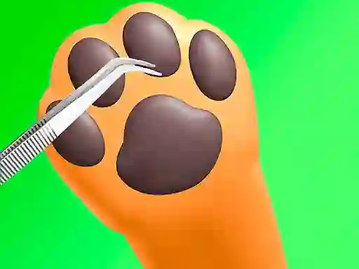 Mäng Paw Care Internetis