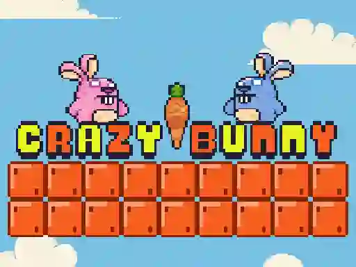 Mäng Crazy Bunny Internetis