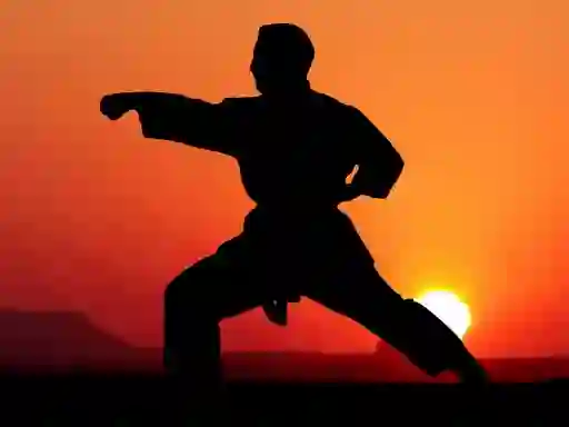 Mäng Karate Sunset Warriors Internetis