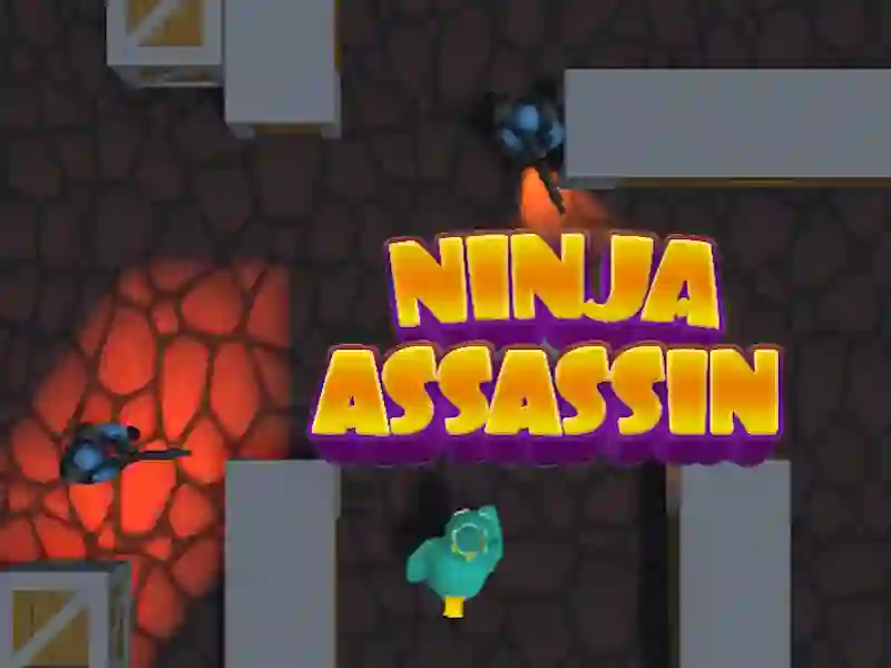 Mäng Ninja Assassin Internetis
