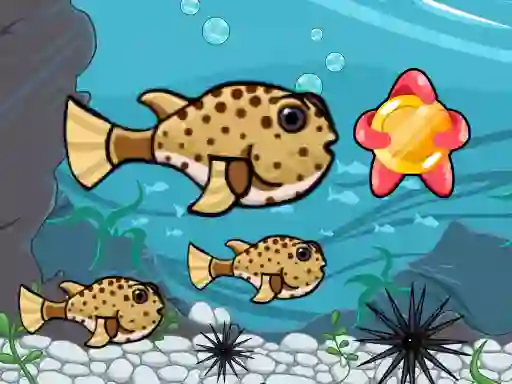 Mäng Run Fish Run Internetis