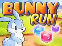 Mäng Bunny Run Internetis