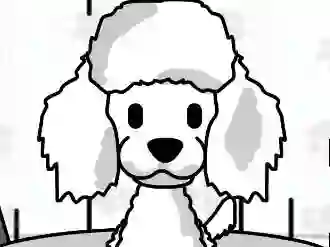 Mäng Pampered Paws Doggy Day Internetis