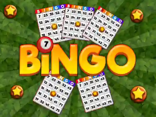 Mäng Bingo Internetis