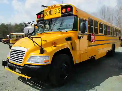 Mäng School Buses Puzzle Internetis