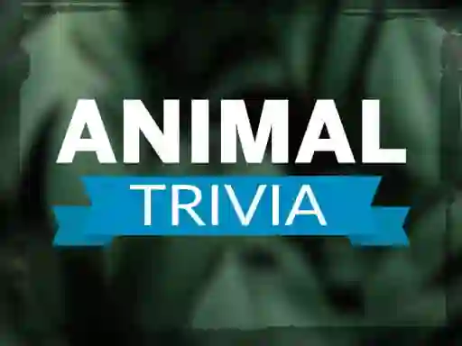Mäng Animal Trivia Internetis