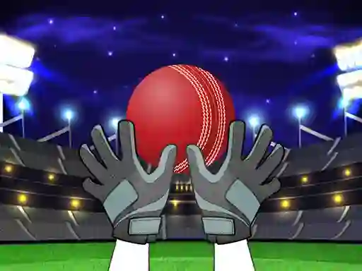 Mäng Catch The Balls Internetis