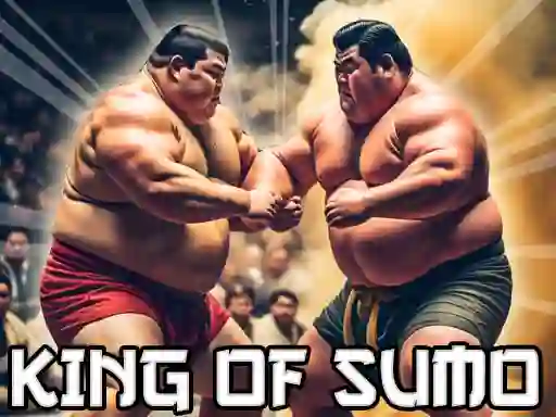 Mäng King Of Sumo the ultimate brawl Internetis