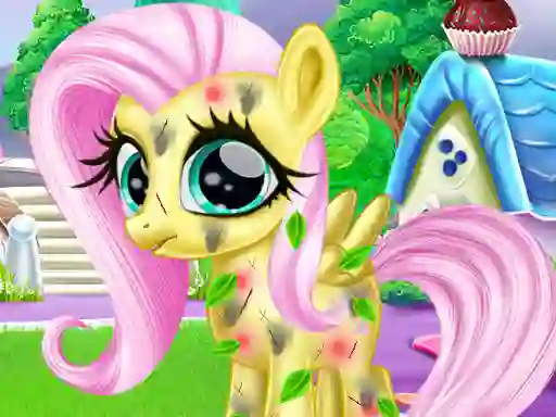 Mäng Little Pony Caretaker Internetis