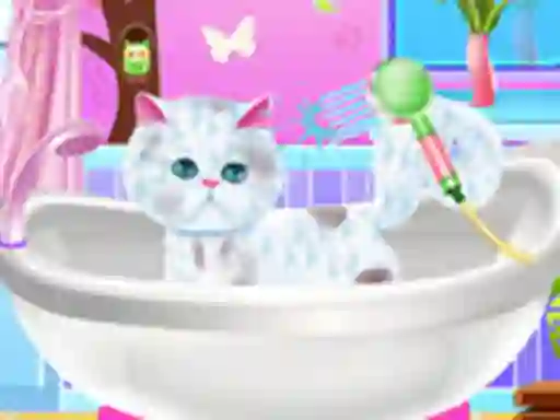 Mäng Excellent Pet Groomer Internetis
