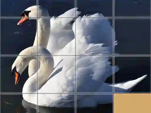 Mäng Animals Slide Puzzle Internetis