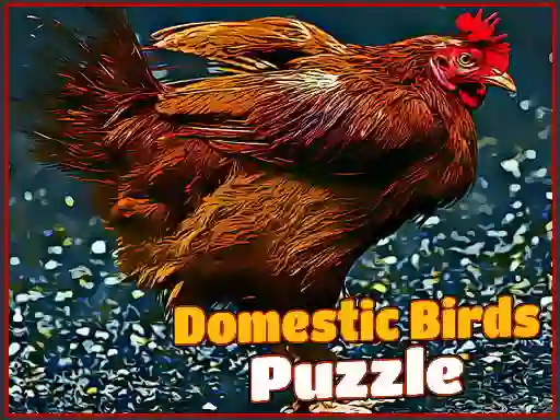 Mäng Domestic Birds Puzzle Internetis