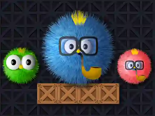 Mäng Where Is My Ruffled Bird Internetis