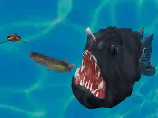 Mäng Fish 3d Internetis
