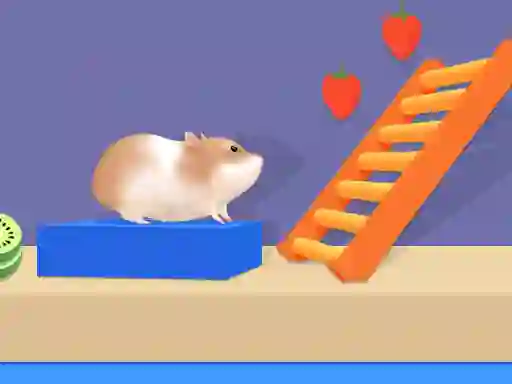 Mäng Hamster Maze Online Internetis
