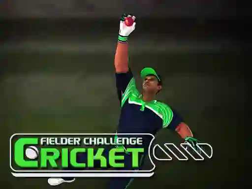 Mäng Cricket Fielder Challenge Internetis